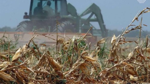 1 Омский АПК впервые поставил продукцию в Иорданию, Колумбию и Того