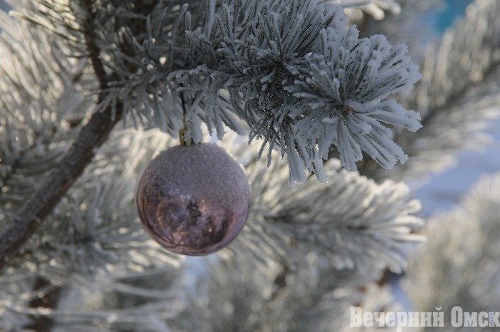 Омичам объявили дату новогодней «АвтоЕлки-2026»