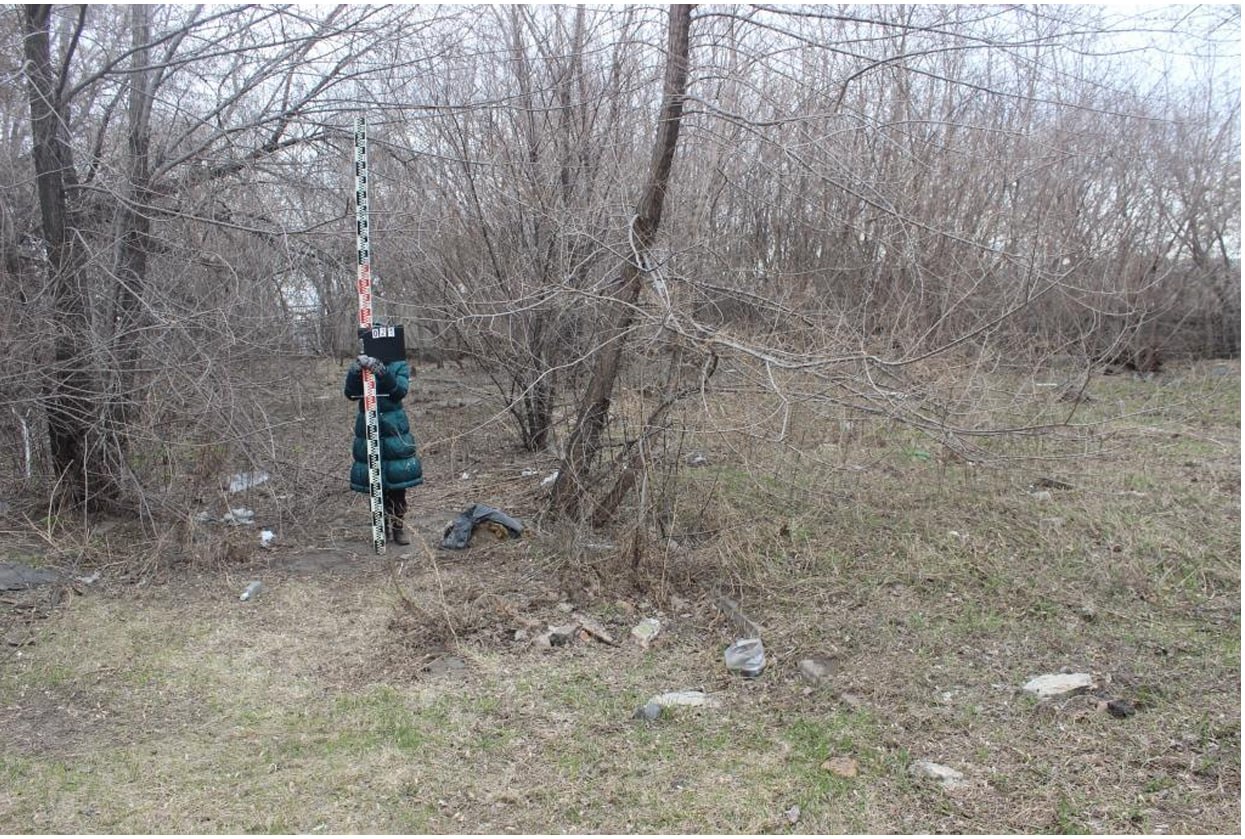 В центре Омска на улице Тюменской собираются построить модульную гостиницу В центре Омска на улице Тюменской собираются построить модульную гостиницу
