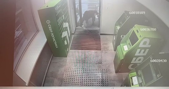 Хотел «сыграть в боевик» и ограбить банкоматы – оказался в суде