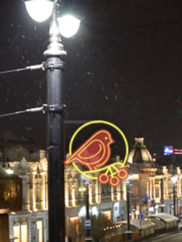 Омск готовят к праздникам – на улицах скоро появятся светящиеся снегири! Омск готовят к праздникам – на улицах скоро появятся светящиеся снегири!