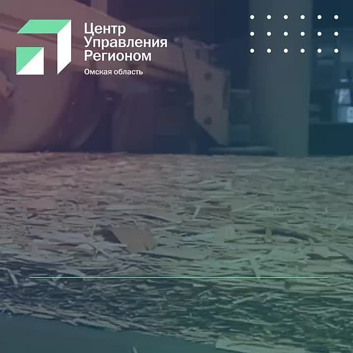 В Тарском районе откроется производство по глубокой переработке древесины