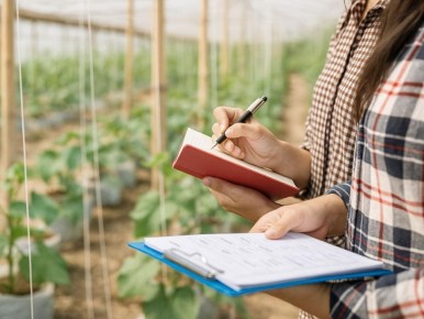 Севооборот: секрет сохранения плодородия и увеличения урожайности