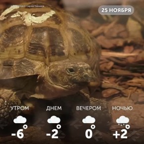 Доброе утро, омичи!. Новый день — новые возможности