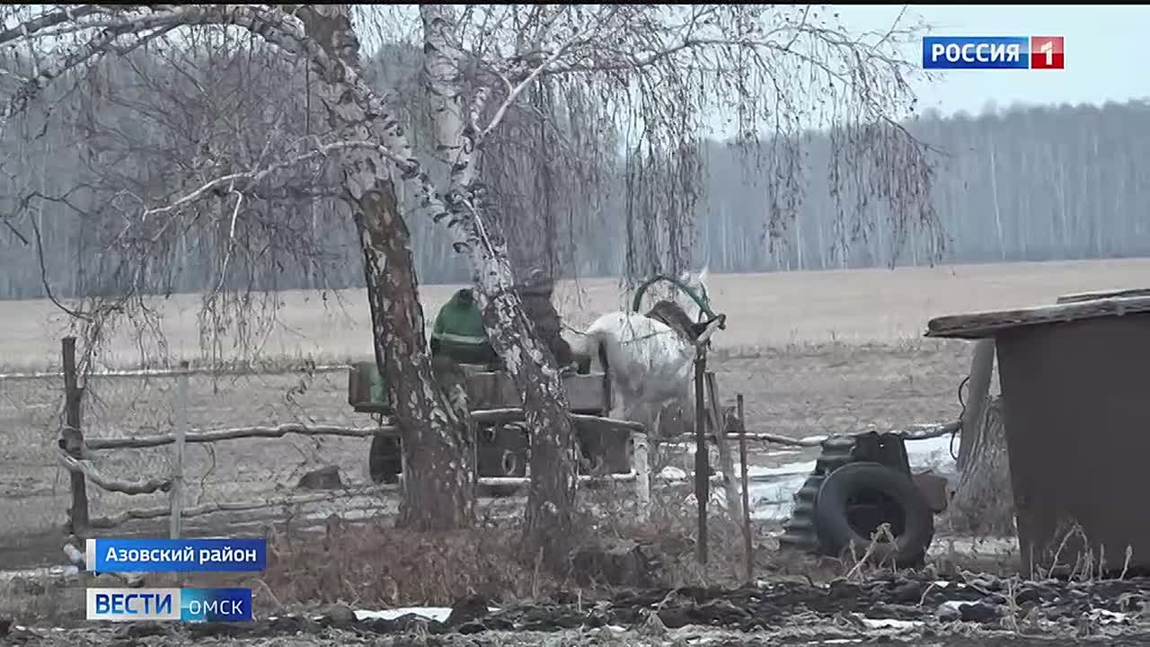 Одно из поселений в Азовском районе уже больше недели остается без водоснабжения