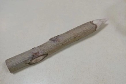 Жительница Омска пришла в суд с осиновым колом