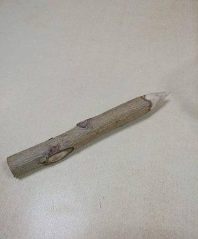 "Этот амулет — её личный щит": жительница Омска пришла на заседание суда с необычным оберегом — осиновым колом