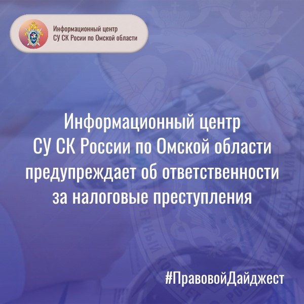 В Омске вынесен приговор по уголовному делу об уклонении от уплаты налогов
