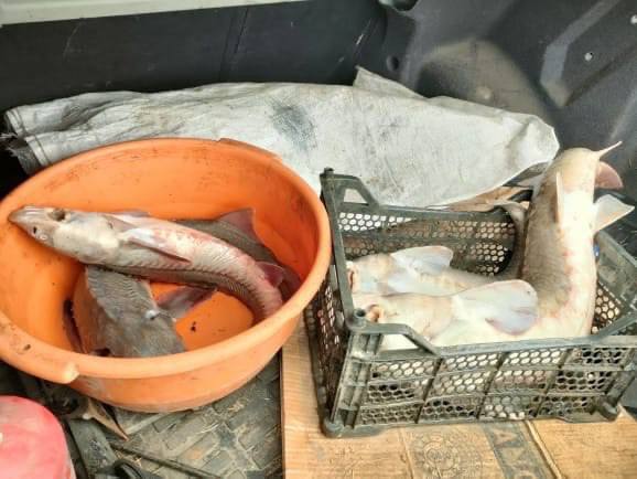 В Омске по иску природоохранной прокуратуры суд постановил взыскать более 1,5 млн рублей в качестве возмещения ущерба водным ресурсам