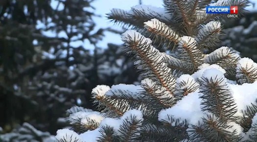  , !.          :     ,       