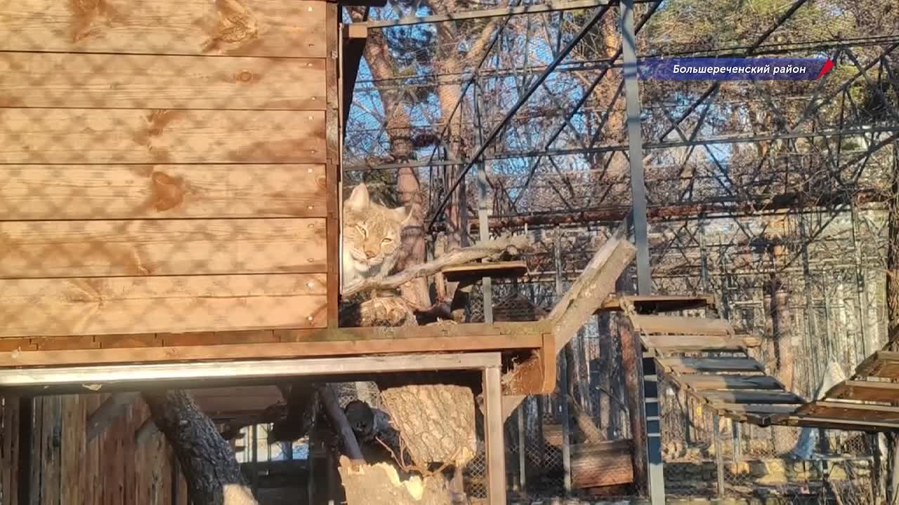 В Большереченском зоопарке показали, как животные начинают свой день