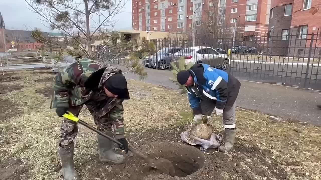 Глава города сообщил о высадке более 100 деревьев в Ленинском округе