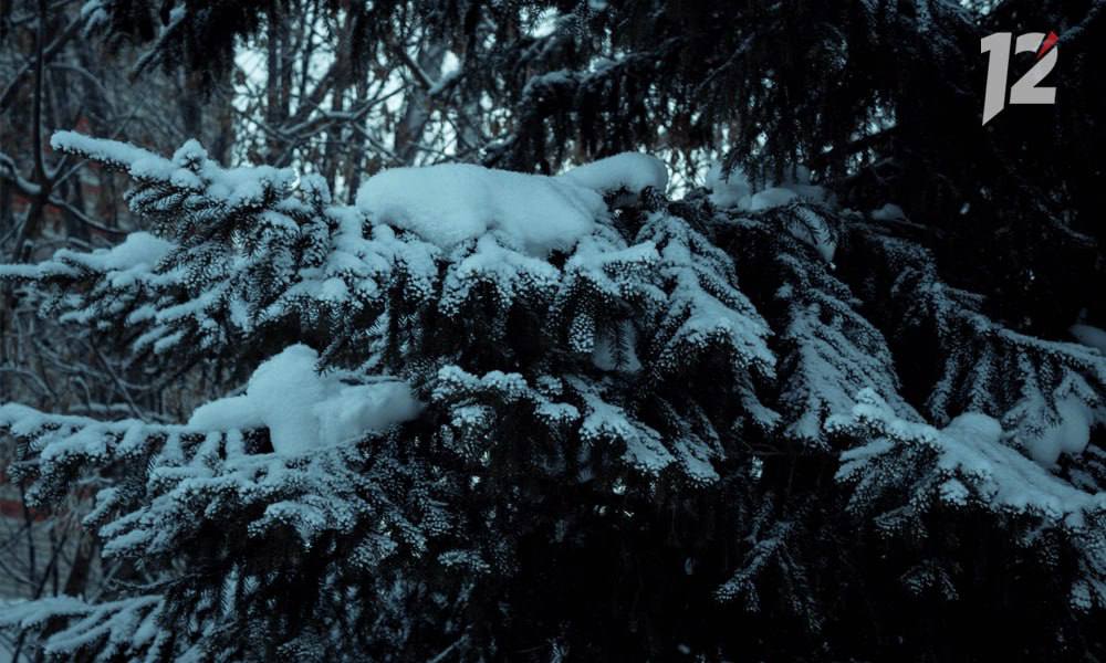 Зимние морозы наконец доберутся до Омской области