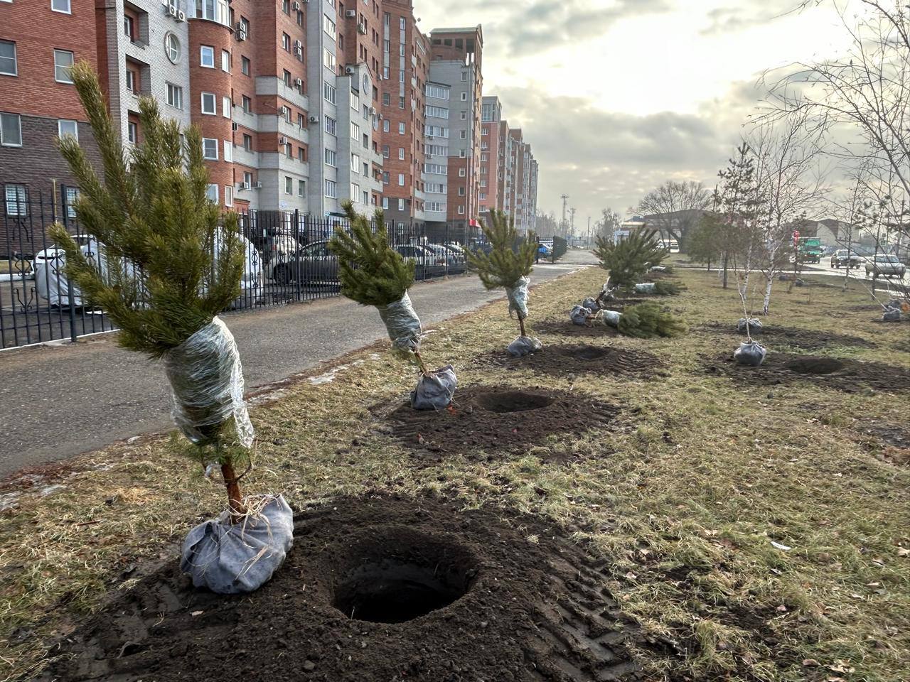 Осень не сдаётся – и озеленители тоже!