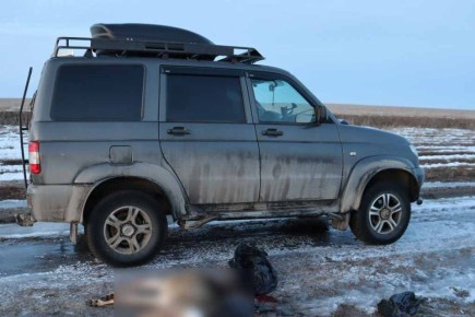 В Омской области охотник застрелил косулю прямо из машины