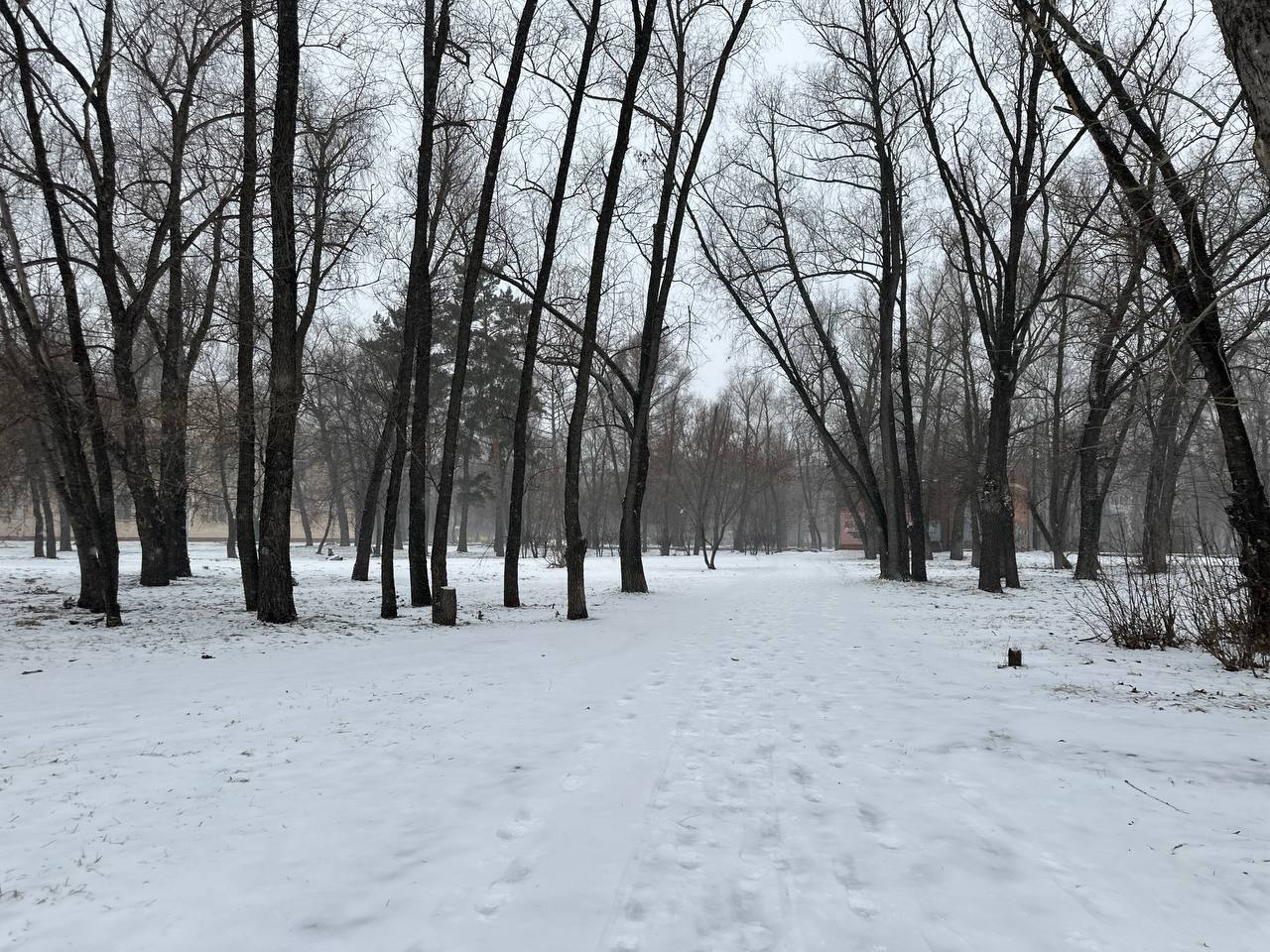Настоящая зима пришла в Омск! 29 ноября город накрыл долгожданный снегопад, превратив улицы в настоящую зимнюю сказку Настоящая зима пришла в Омск! 29 ноября город накрыл долгожданный снегопад, превратив улицы в настоящую зимнюю сказку