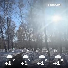  , !.    ,  ,        !