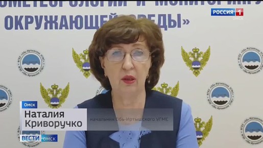 Первые дни зимы в Омской области будут слякотными