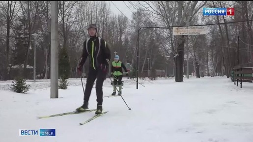 Первый день зимы Омск встретил плюсовой температурой и набухшими на деревьях почками