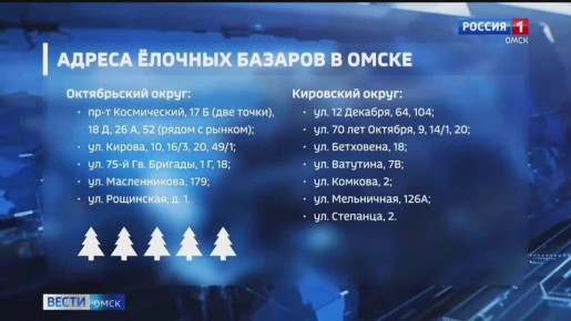 В Омске открываются елочные базары