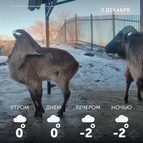 Доброе утро, омичи!. Пусть этот день будет наполнен светом, улыбками и позитивом!