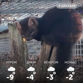 Доброе утро, омичи!. Желаем вам как следует отдохнуть и набраться сил перед новой рабочей неделей