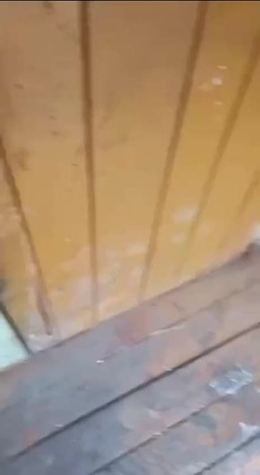 В Омской области алиментщик решил спрятаться… в диване