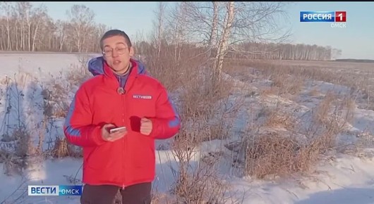 В Омской области участились случаи выявления бешенства у диких животных