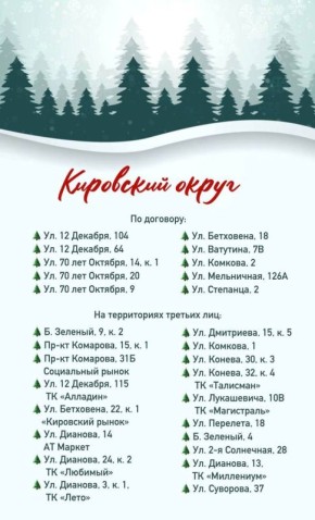 В мэрии назвали адреса всех елочных базаров в Омске