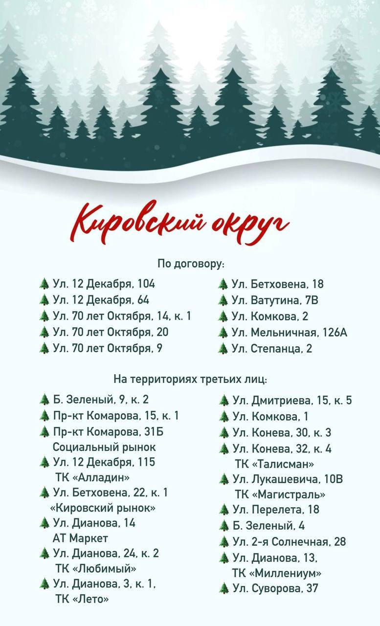 В мэрии назвали адреса всех елочных базаров в Омске