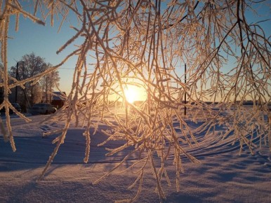 Доброе утро, омичи!. На улице морозно, но перед окнами разворачивается настоящая зимняя картина