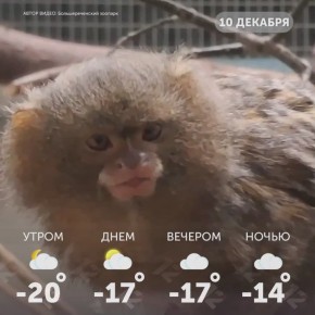 Доброе утро, омичи!. Пусть сегодняшний день принесет вам яркие впечатления!