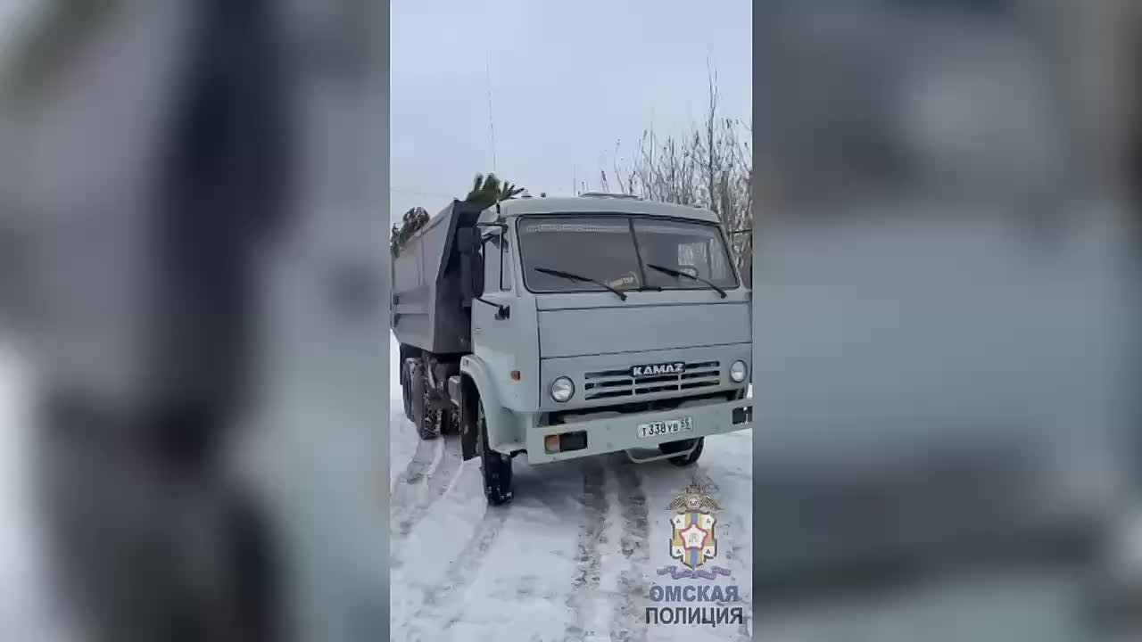 «Новогодний улов» – полицейские остановили КамАЗ, набитый 100 нелегальными деревьями