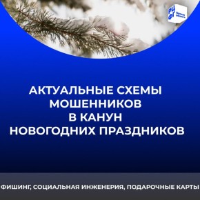 Фальшивые магазины, «троянский конь» в подарок и психологический штурм: самые актуальные схемы мошенников в канун новогодних праздников