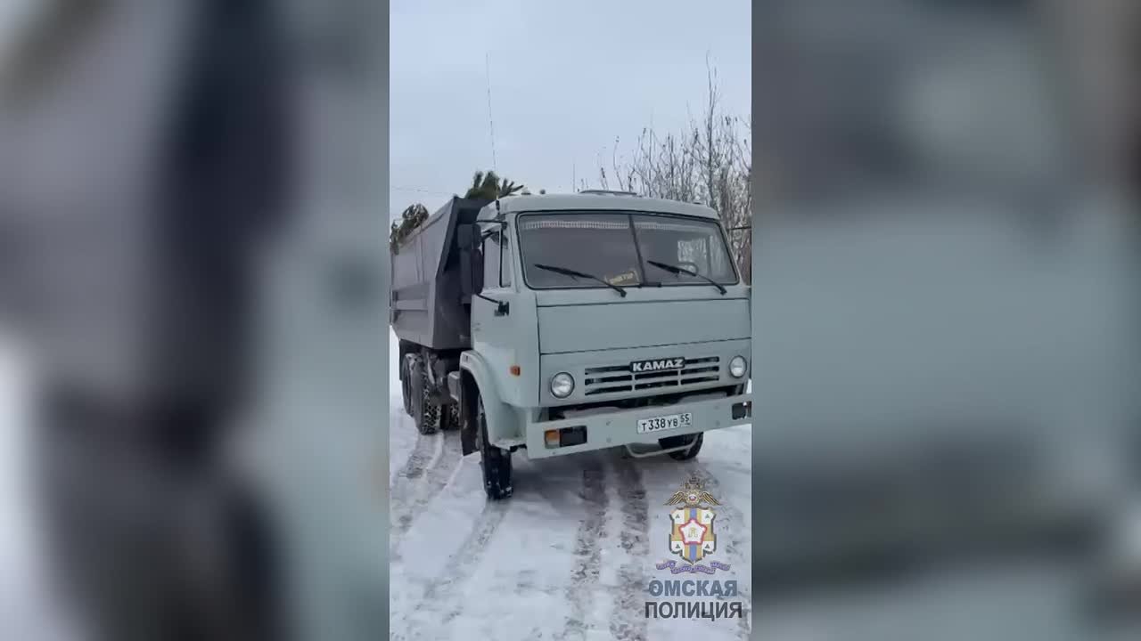 На автодороге Омск–Красноярка сотрудники Госавтоинспекции ОМВД России по Омскому району остановили автомобиль КамАЗ, который перевозил хвойные деревья в количестве 100 штук