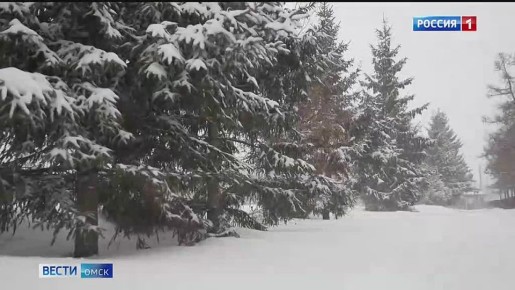 На предстоящих выходных Омск завалит снегом