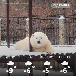 Доброе утро, омичи!. Хороших вам выходных! Наслаждайтесь каждым днём и радуйтесь мелочам!