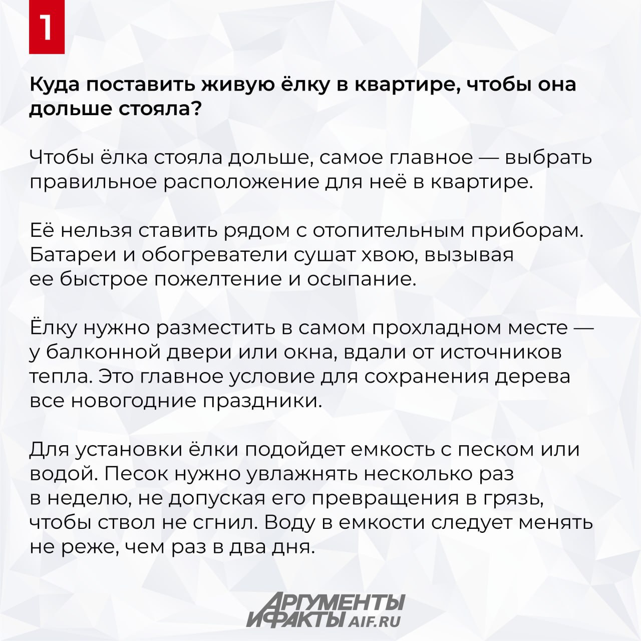 Куда ставить живую ёлку на Новый год, чтобы она дольше стояла?