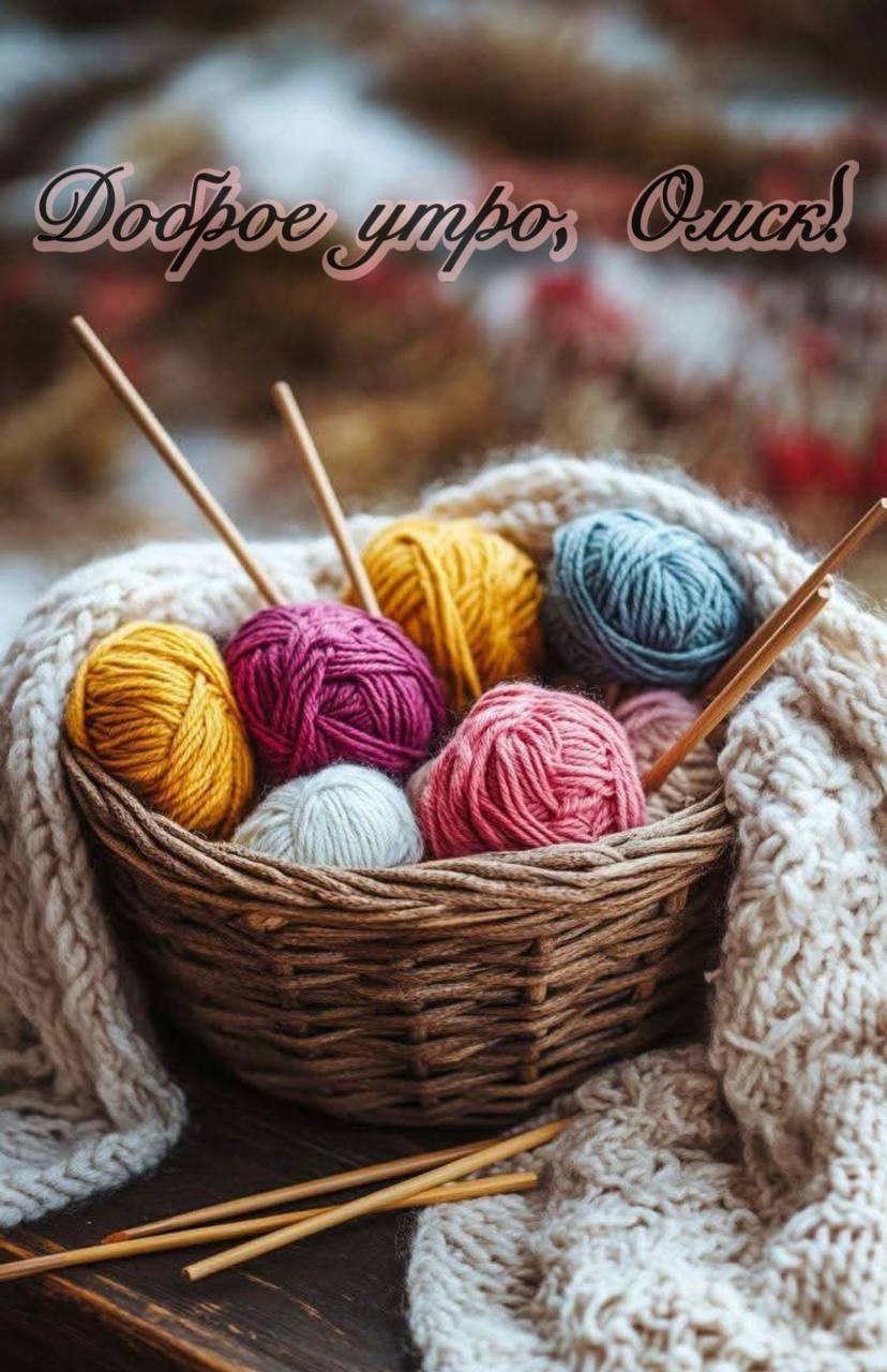 Доброе утро, Омск!. Сегодня – воскресенье, 14 декабря – и день с необычными поводами для улыбки! Всемирный день обезьян – неофициальный праздник, который отмечают по всему миру