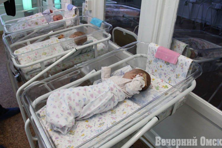 ������������� ����� ��������� ����������� �������� � 2025 ���� ������� �������� ����������� ������������