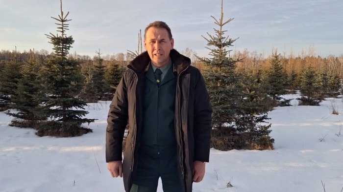 Главный омский лесник сделал «елочное» заявление