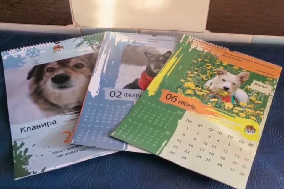 ������ ��������: ������ ����� ����� �������� ��������� �� 2026 ���