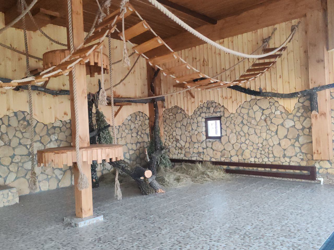 В преддверии праздников коллекция Большереченского зоопарка пополнилась новыми жителями: кошачьим лемуром и патагонскими марами В преддверии праздников коллекция Большереченского зоопарка пополнилась новыми жителями: кошачьим лемуром и патагонскими марами