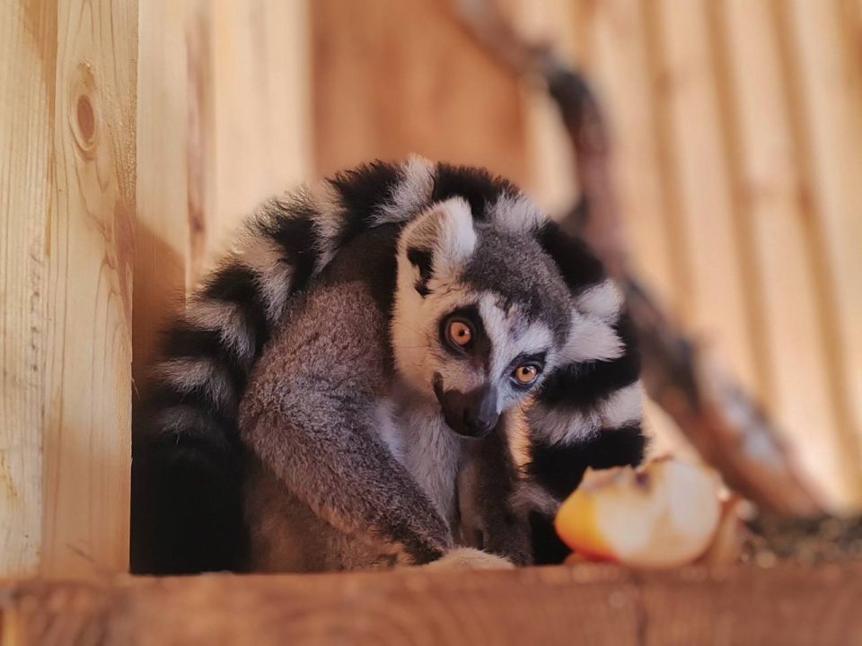 � ��������������� �������� � ������� � ������������ ������!