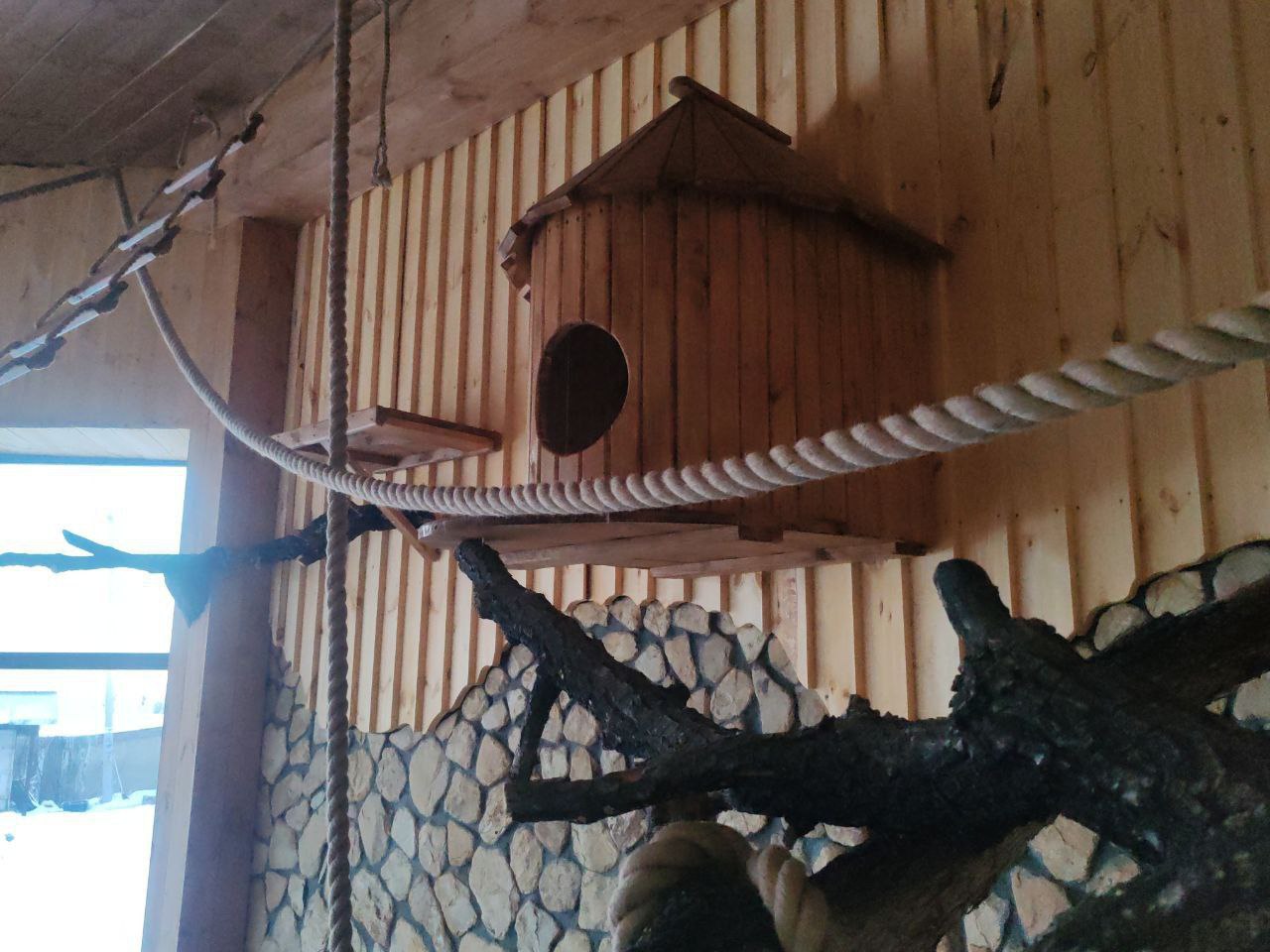 В преддверии праздников коллекция Большереченского зоопарка пополнилась новыми жителями: кошачьим лемуром и патагонскими марами В преддверии праздников коллекция Большереченского зоопарка пополнилась новыми жителями: кошачьим лемуром и патагонскими марами