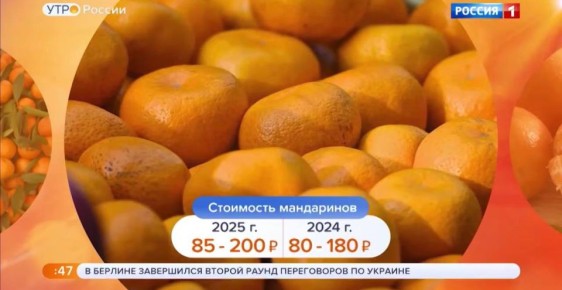 ������ ����, �����!. � �������������� ������ ��������� ����� ���������: � ������ ������� ������� ���� � 186 /��, ����� �� 15% ����, ��� ��� �����