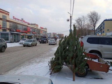 ���� � �� ����� ��� �������