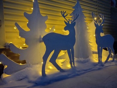 Волшебно!. Комплексный центр социального обслуживания населения в Седельниково встречает своих посетителей яркими огнями, елками и сказочными оленями