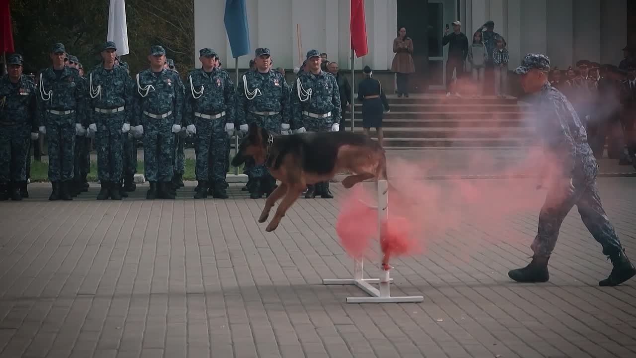 Эти люди носят погоны и гордое звание «динамовец»