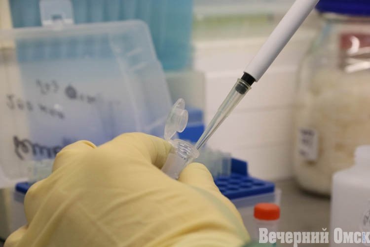 Против рака и гриппа. Омский ученый работает над созданием основы для лекарств